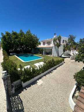 Buganvilla